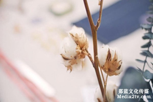 上海短視頻拍攝