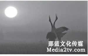紀錄片部落-高清紀錄片下載:主旋律紀錄片國家形象的國際化傳播探究