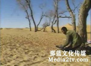 中國紀錄片的發展壯大時期