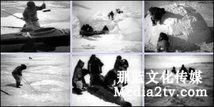 紀(jì)錄片《北方的納努克》拍攝特點