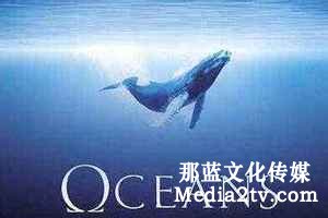 紀錄片拍攝畫面有哪些構圖方法？