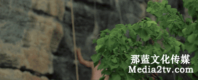 我有長焦航拍!地上的蛇矛短炮,哆嗦吧...