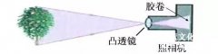 從＂辣眼睛＂到＂美哭了＂，淺談無人機的影像